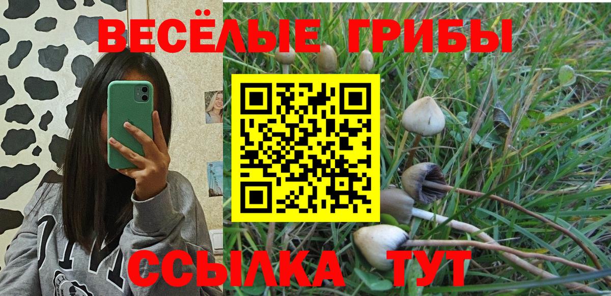 Галлюциногенные грибы MAGIC MUSHROOMS  Псилоцибиновые грибы MAGIC MUSHROOMS  где можно купить наркотик  Кольчугино  Вход с VPN 