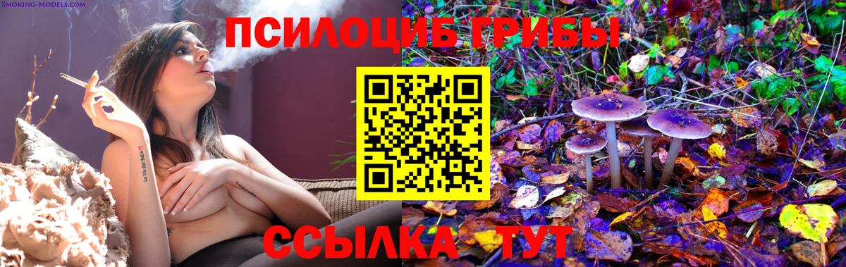 Псилоцибиновые грибы MAGIC MUSHROOMS Кольчугино